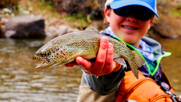 LV Wood - Trout Unlimited